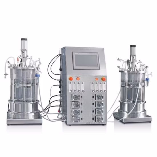 Sodium Carbonate Production Bioreactors for Lab Fermentor