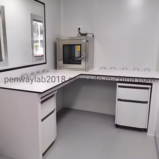 Laboratoire de détection rapide Laboratoire PCR de conteneurs mobiles